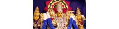நியூமோள்டன்